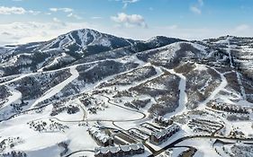Pioche Village Park City